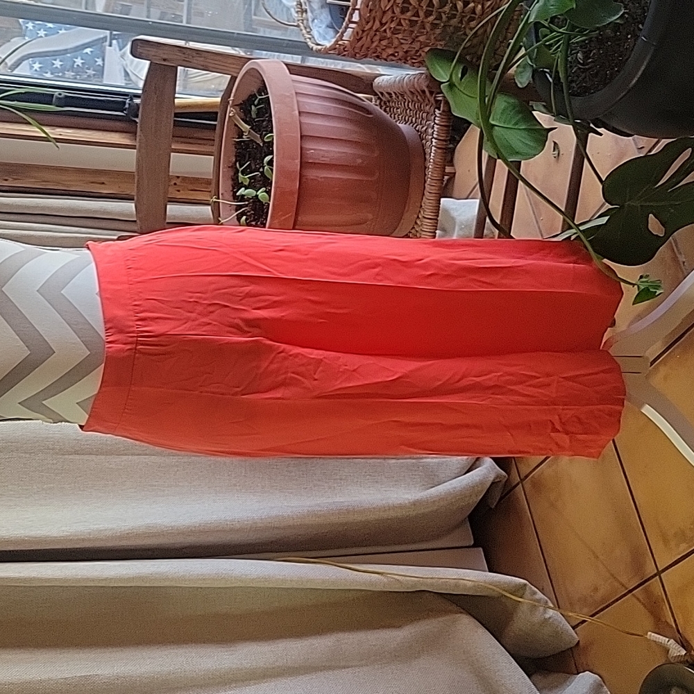 Zara Basic Dress Crop style Pant